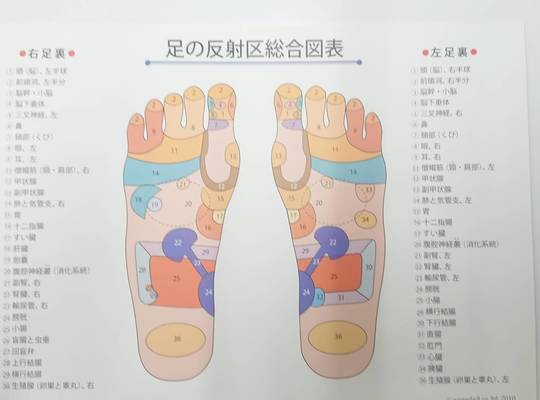 足つぼ　図