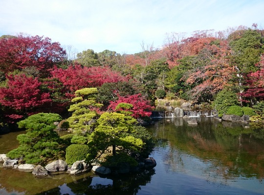 紅葉