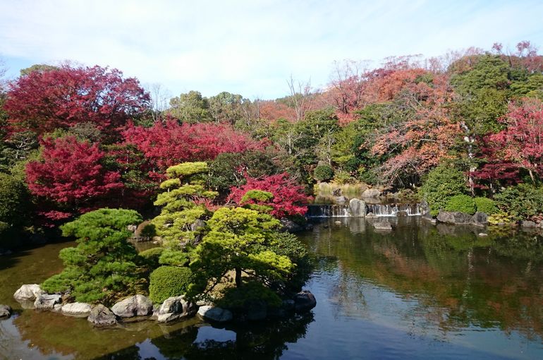 紅葉