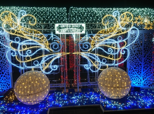 イルミネーション
