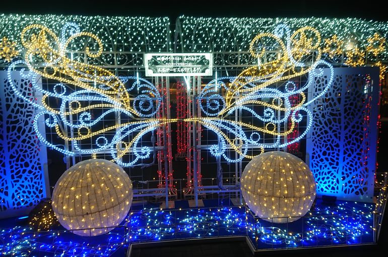 イルミネーション